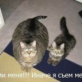 Секс знакомства в г Северодонецк