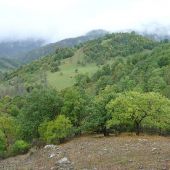 Секс знакомства в г Челябинск