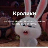 Секс знакомства в г Херсон