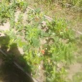 секс знакомства в г Нижний Новгород