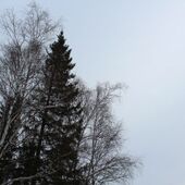 Секс знакомства в г Сатка