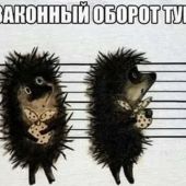 секс знакомства в г Санкт-Петербург