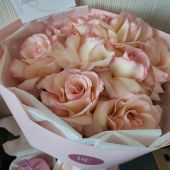 секс знакомства в г Алматы