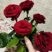 секс знакомства в г Ростов-на-Дону