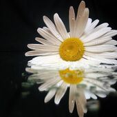 Секс знакомства в г Сызрань