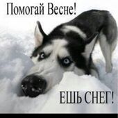 секс знакомства в г Тула