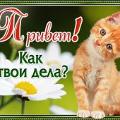 знакомства в г Каменск-Шахтинский