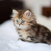 Секс знакомства в г Хмельницкий