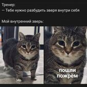Секс знакомства в г Искитим