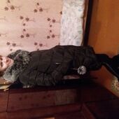 Секс знакомства в г Темиртау