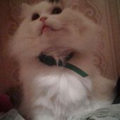 секс знакомства в г Киев