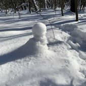 секс знакомства в г Москва