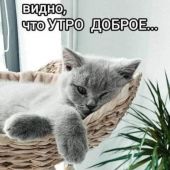 Секс знакомства в г Губкин