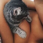 секс знакомства в г Ставрополь