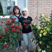 секс знакомства в г Кировоград