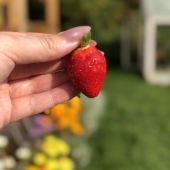 Секс знакомства в г Нижний Тагил