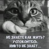 секс знакомства в г Иркутск