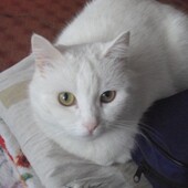 знакомства в г Богучаны