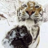 секс знакомства в г Одесса