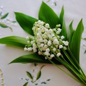 секс знакомства в г Самара